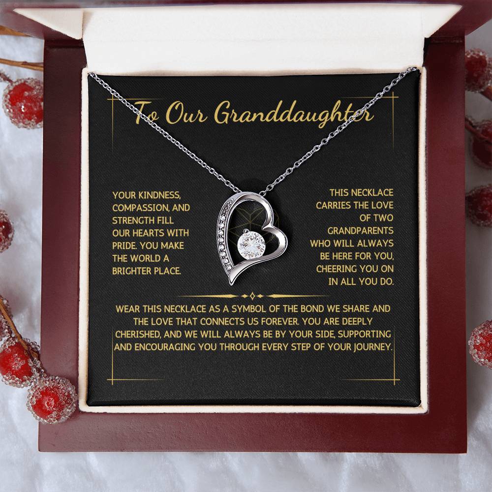 Eternelle Necklace - To Our Granddaughter - From Grandparents - WSGDGP217